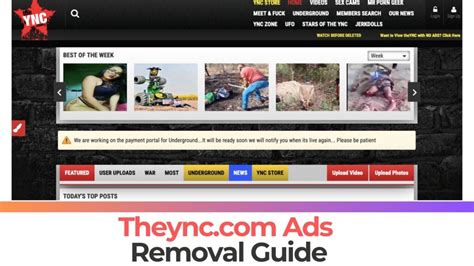 theync|theync.com (@theync.